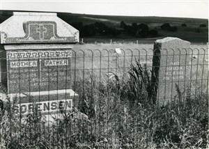 Image description is not available for PHO-4-W689-255